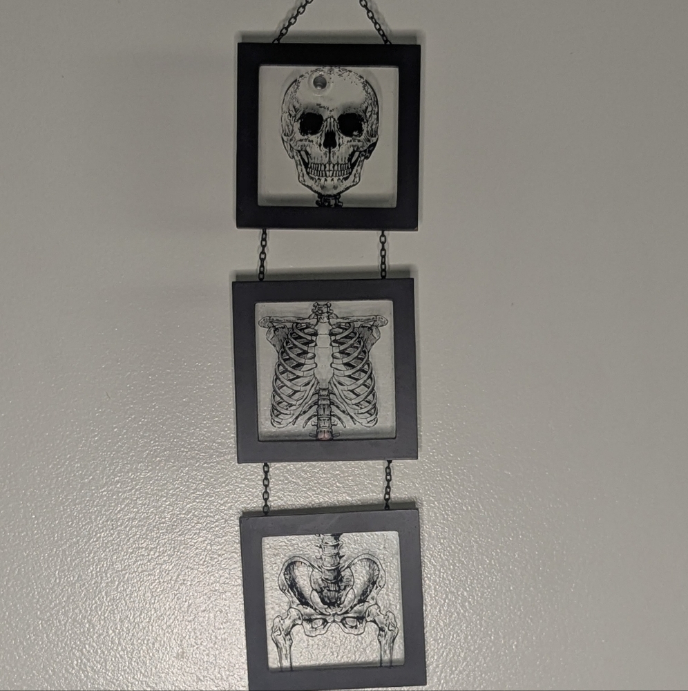 Skeleton 3 piece Hanging Decor